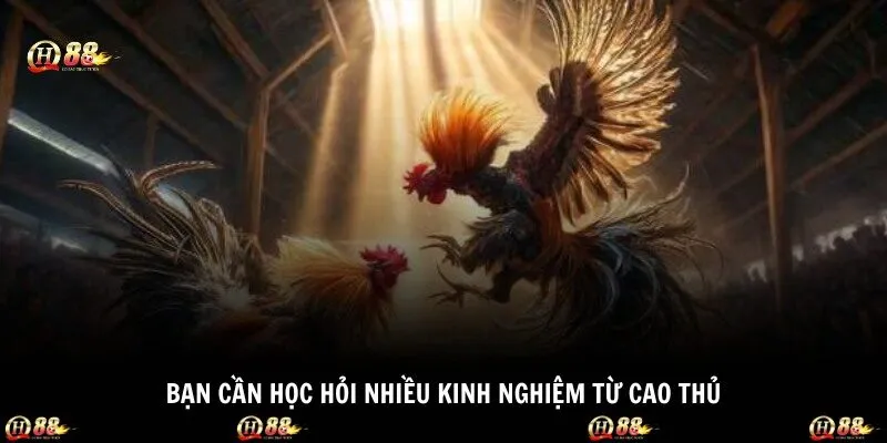 Bạn cần học hỏi nhiều kinh nghiệm từ cao thủ